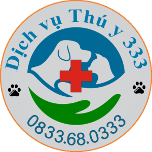 logo dichvuthuy333
