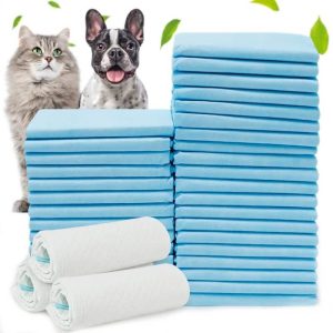 Tấm lót vệ sinh lót chuồng y tế siêu thấm hút kháng khuẩn khử mùi cho chó mèo chính hãng