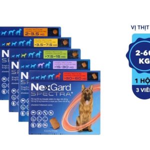 Viên nhai NexGard Spectra diệt ve rận bọ chét ghẻ Demodex và phòng giun tim chính hãng khuyên dùng bởi Bác sĩ Trung